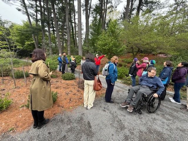 Garden tour at the Japanese cherry tree