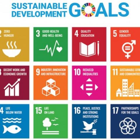 The United Nations’ Sustainable Development Goals, which were the subject of a four-part webinar series hosted by Cornell University Library.