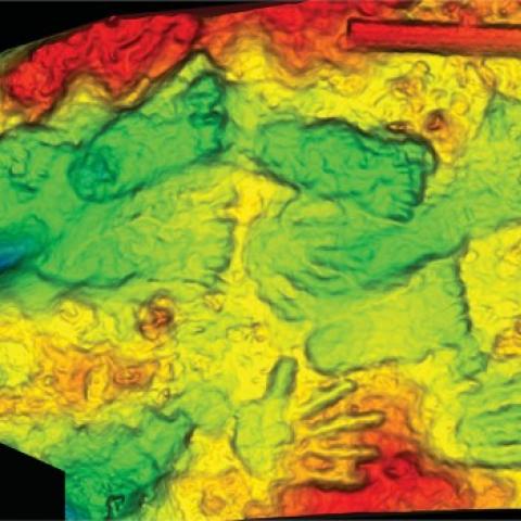 Researchers discovered what is possibly the world's oldest artwork, rendered here in a three-dimensional scan, on a rocky promontory at Quesang on the Tibetan Plateau in 2018.