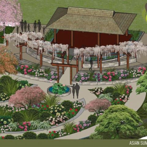 Asian Summer Garden