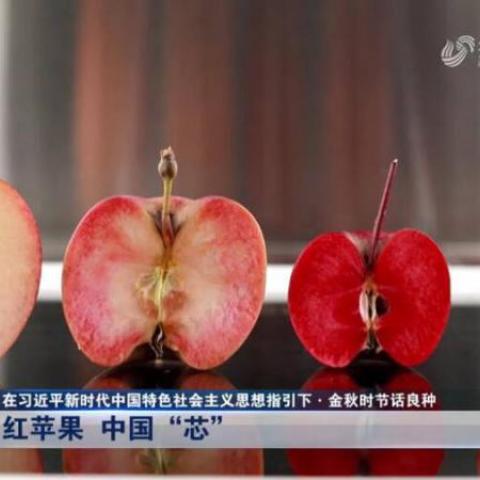 Four cut apples