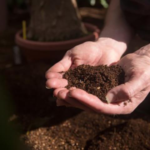 A handful of soil