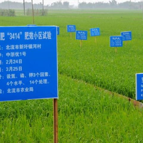 A field site in China from the National Soil Test and Fertilizer Recommendation Projects, which were conducted from 2005-13.